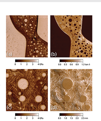 Viscoelastic Mapping Mode