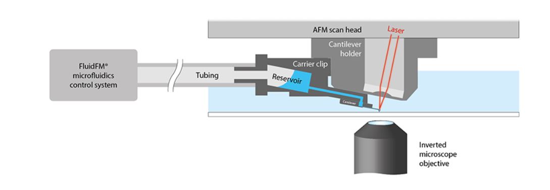 Nanosurf FluidFM® probe microscopy