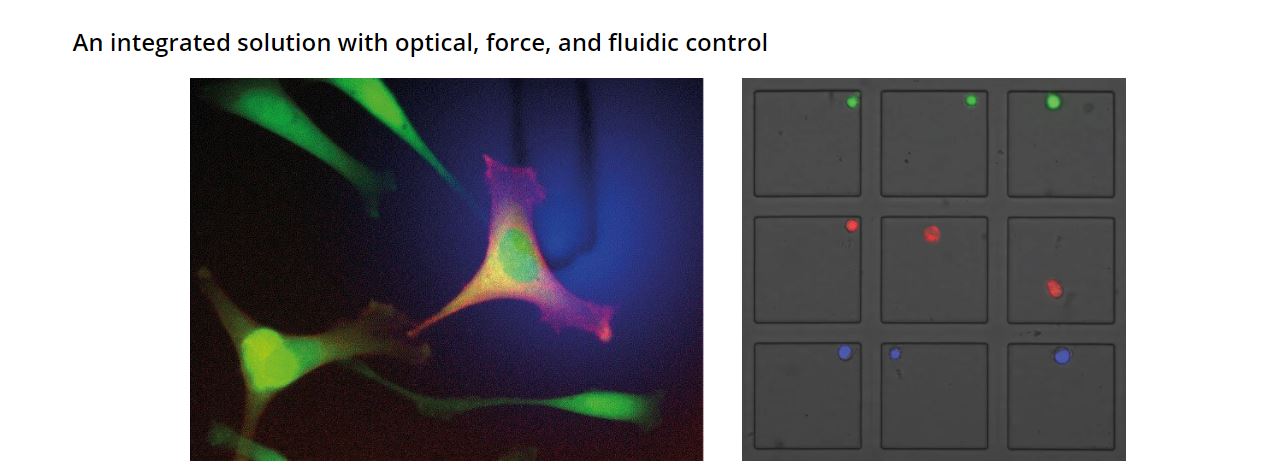 Nanosurf FluidFM® probe microscopy