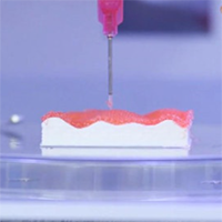 3D Bioprinting