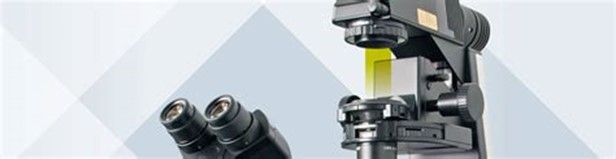 Confocal Raman Microscopy