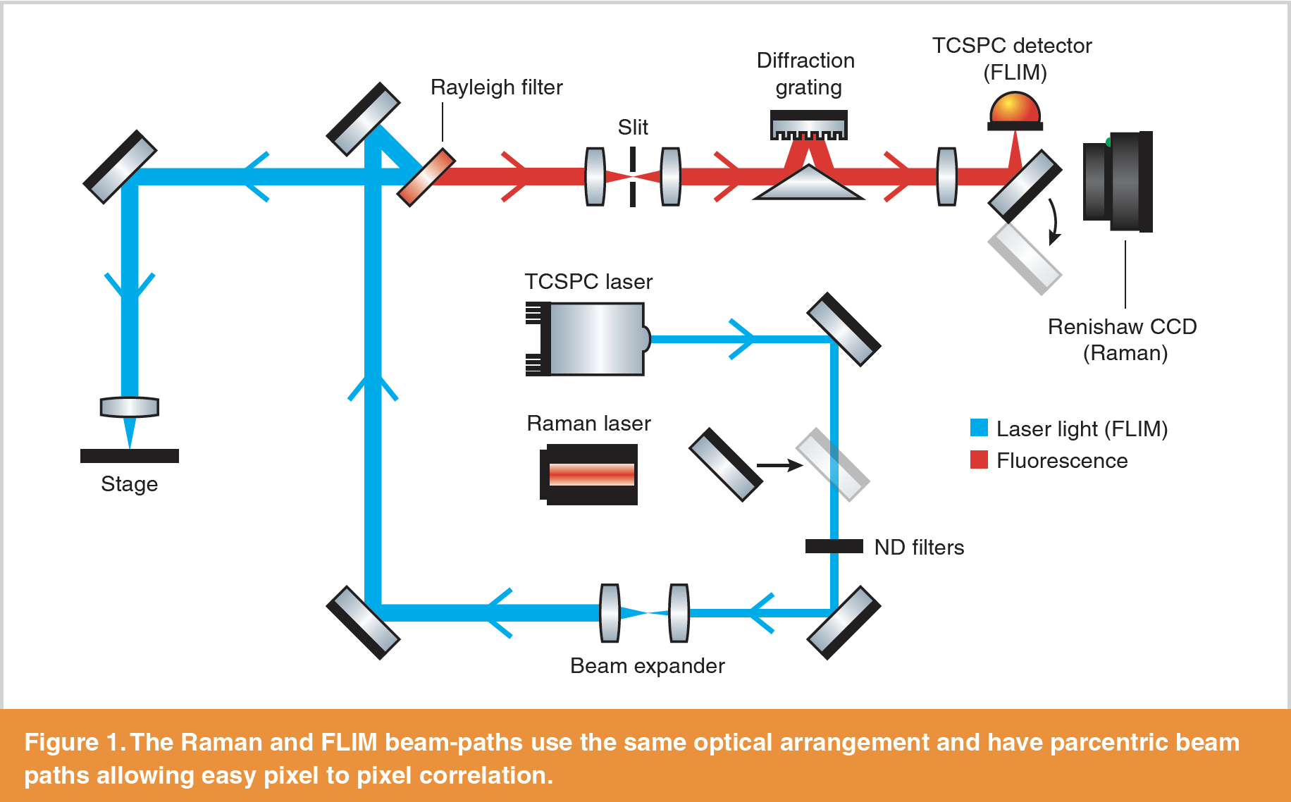 Integrating FLIM to the inVia Raman microscope